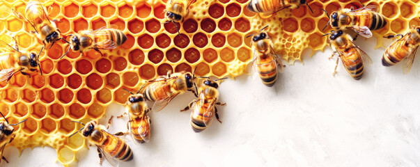 Close up of bees working on honeycomb filled with golden honey. Image captures detailed texture of honeycomb and vibrant colors of bees