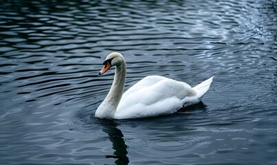 A swan is gliding across the lake, Generative AI 