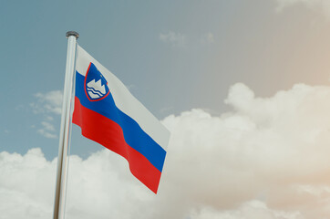 Slovenia Flag with Sky Background 3d illustration image
