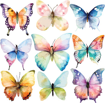 Set Of 9 Watercolor Butterflies On White Background