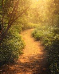 Obraz premium hiking trail in the forest background