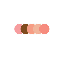 Cosmetics skin tone color pallete