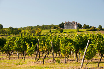 Vineyards at Chateau Monbazillac Dordogne France