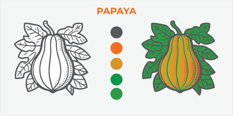 Black and White Vector Illustration of a papaya for Coloring Book with color sample. 