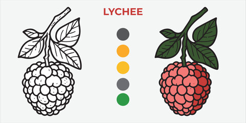 Black and White Vector Illustration of a lychee for Coloring Book with color sample. 
