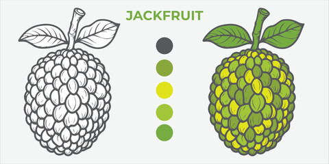 Black and White Vector Illustration of a jackfruit for Coloring Book with color sample. 