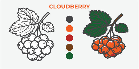 Black and White Vector Illustration of a cloudberry for Coloring Book with color sample. 