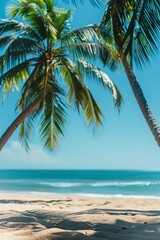 Fototapeta premium Tropical Beach Scene With Palm Trees on a Sunny Day