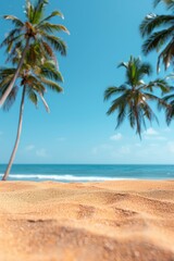 Obraz premium Palm Tree View of Sunny Tropical Beach in Summer