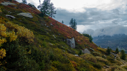 Fototapeta premium mountain trail in valais