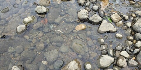 Rocks in stream with smooth flowing water