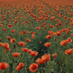 Obraz premium a many red flowers in a field of green grass