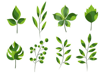 Green stylized branches, leaves vector illustration set
