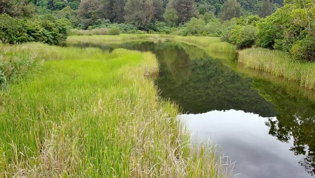 swamp in the mountains