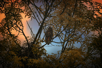 photos from different places of wild nature