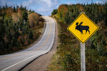Cape Breton