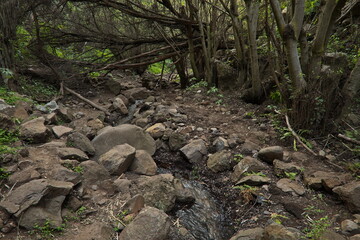 Difficult hiking track in Barranco de los Cernicalos on Gran Canaria,Canary Islands,Spain,Europe
