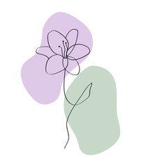 Illustration of line art lily on white background.