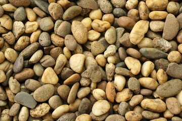 Abstract scene of Many color Rock or mini Stone on the Ground Texture Background  