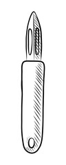 BLACK AND WHITE VECTOR CONTOUR DRAWING OF A PEELER