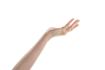 Female hand hold something isolated on white