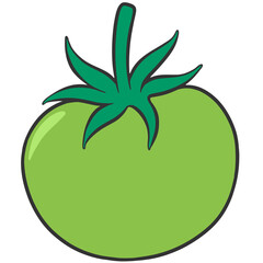 green tomato icon illustration