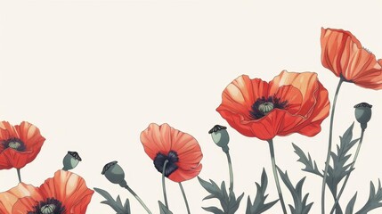 Fototapeta premium Beautiful of red poppies on a light background, perfect for spring and floral-themed designs.