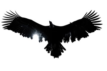 A picture of a large black bird flying through the air, with blurred background