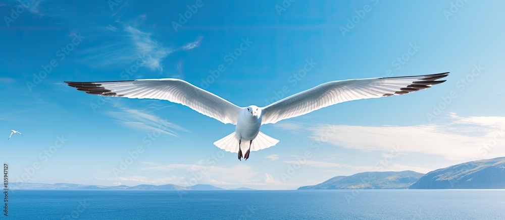 Poster seagull is flying in the sky. creative banner. copyspace image