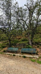 Fototapeta premium BOULETERNERE (Pyrénées-Orientales)