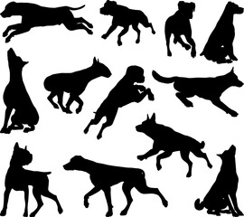 A set of detailed animal silhouettes of a pet dog