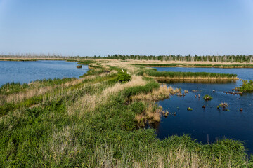 Naturschutzgebiet Anklamer Stadtbruch in der Abendsonne