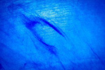 Fototapeta premium Macro shot of blue marbled vinyl record