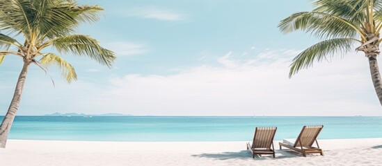 Tropical beach resort hotel background as summer landscape with lounge chairs and palm trees in sun rays and calm sea for beach banner Luxury vacation and holiday destination concept. Creative banner