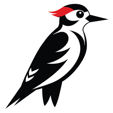 recommend clip art: Solid color Downy Woodpecker animal vector design