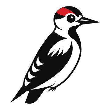 recommend clip art: Solid color Downy Woodpecker animal vector design