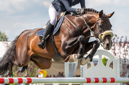 A photograph of a rider on a horse jumping over an obstacle