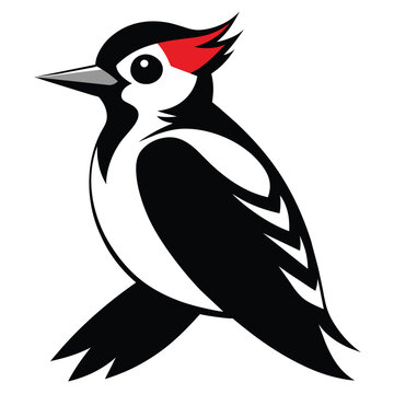 recommend clip art: Solid color Downy Woodpecker animal vector design