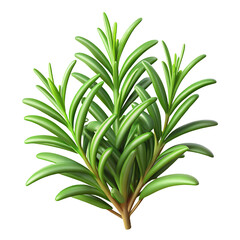Obraz premium Rosemary Hyperrealistic Highly Detailed Isolated On Transparent Background Png File