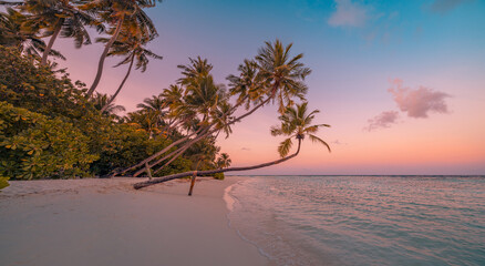 Summer island palm tree sea sand beach. Panoramic beach landscape. Inspire tropical nature seascape...