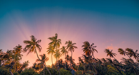 Copy space of silhouette palm trees sun rays sunlight on sunset sky, summer abstract tourism...