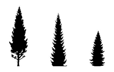 tropical pine tree silhouette