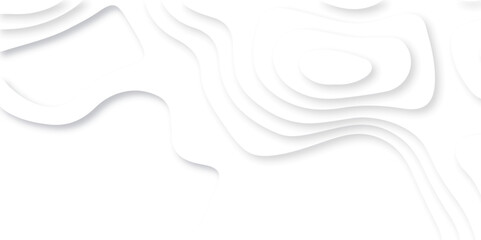 Abstract white paper cut background with lines. Background of the topographic map. White wave paper curved reliefs abstract background. Realistic papercut decoration textured with wavy layers.