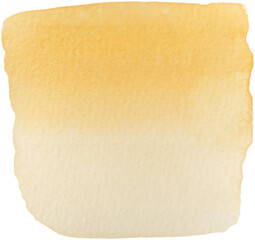 Watercolor Organic Abstract Splash Hand Drawn