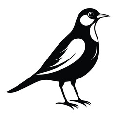 Solid color Eastern Meadowlark vector design