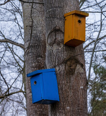 wooden bird house