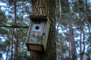 bird house on tree