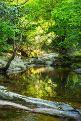 春の甌穴郡がある渓谷の風景 鳥取県 赤波川渓谷