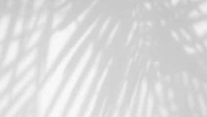 Obraz premium Leaves Shadow on White Texture Background