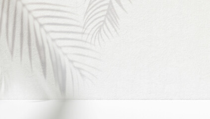 Obraz premium Tropic palm leaf shadow on the white wall. Free space for decoration product presentation mock up